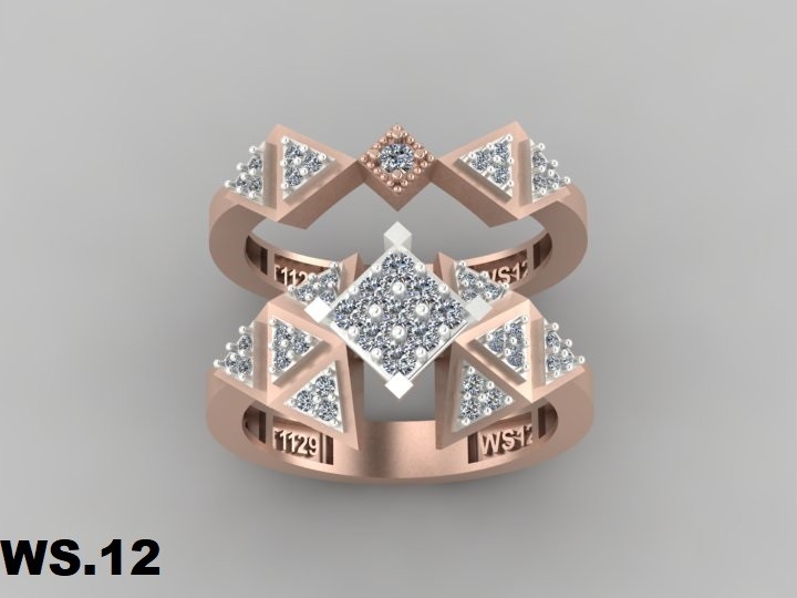 حلقه و پشت حلقه  کد :WS .12